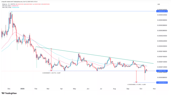 Shiba Inu под угрозой из-за распродажи китов и редкого технического паттерна
Shiba Inu под угрозой из-за распродажи китов и редкого технического паттерна